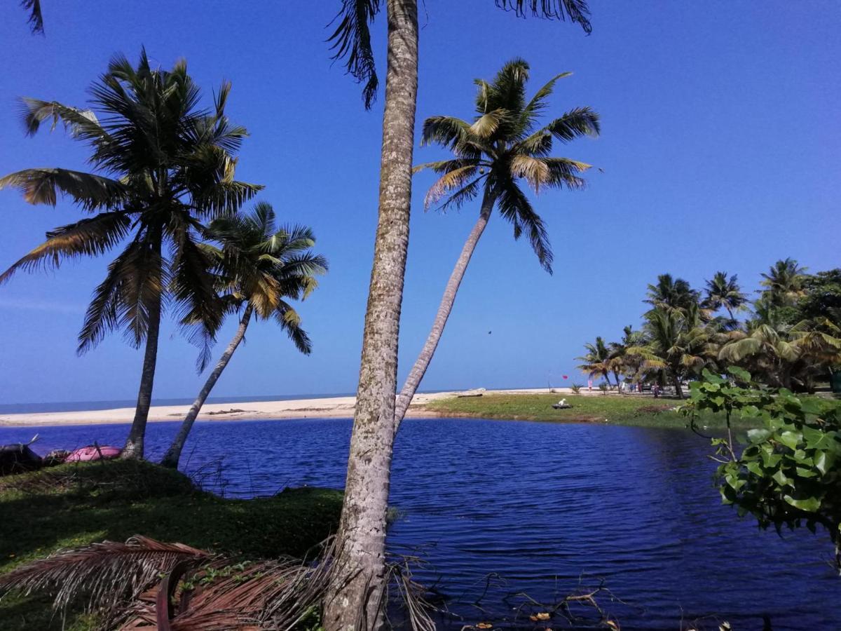 Marari Lotus Beach Villa Mararikulam Exterior foto