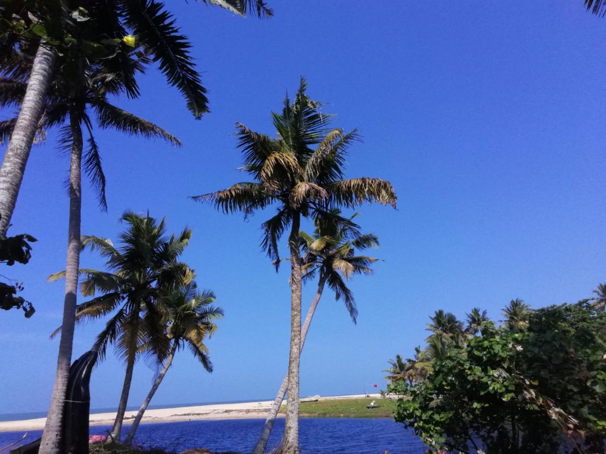 Marari Lotus Beach Villa Mararikulam Exterior foto